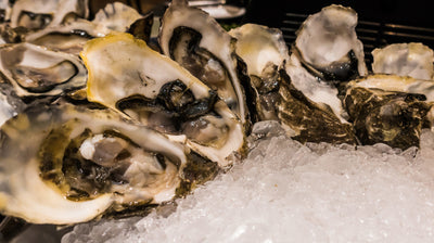 All About Freezing Oysters
