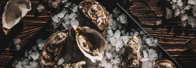 Does Eating More Oysters Help the Environment?