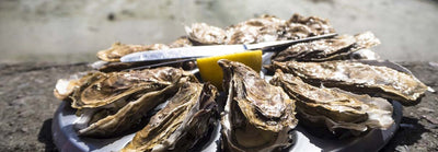Why Do Oysters Have Different Flavors?