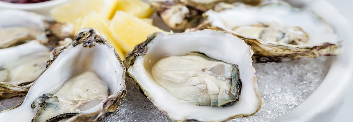 How Long Can Oysters Stay In Fridge