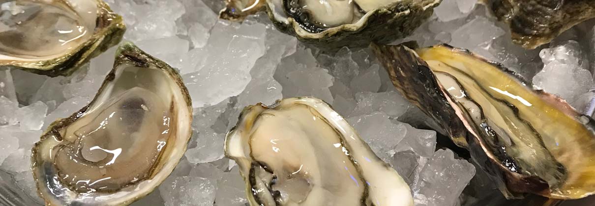 Which Nutrients Are in Oysters? – Oysters XO