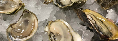 Which Nutrients Are in Oysters?
