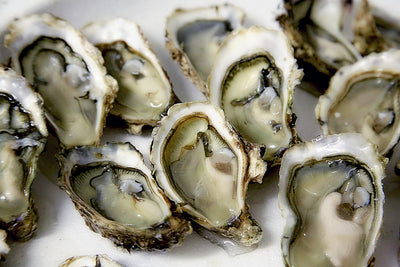 7 Shucking Facts about Oysters That'll Leave You Amazed