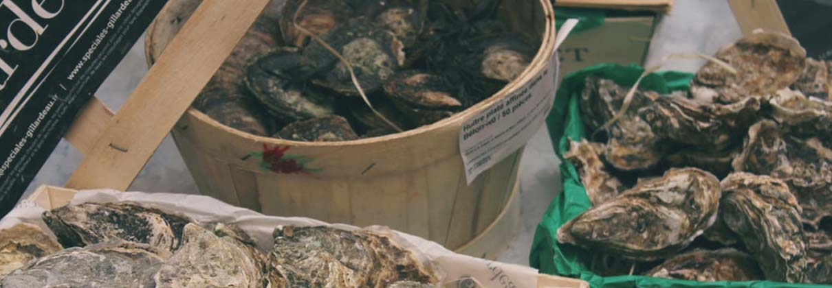 Oysters Vs. Clams: What’s the Difference? – Oysters XO