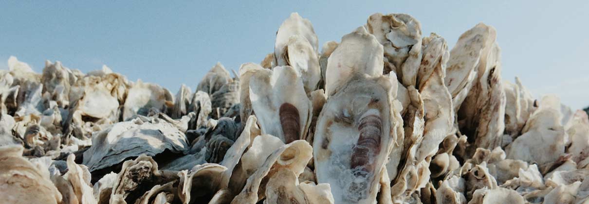 Spat to Slurp Series