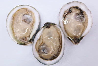 Oyster Shucker Seafood Opening Shell Kitchen Household - Temu